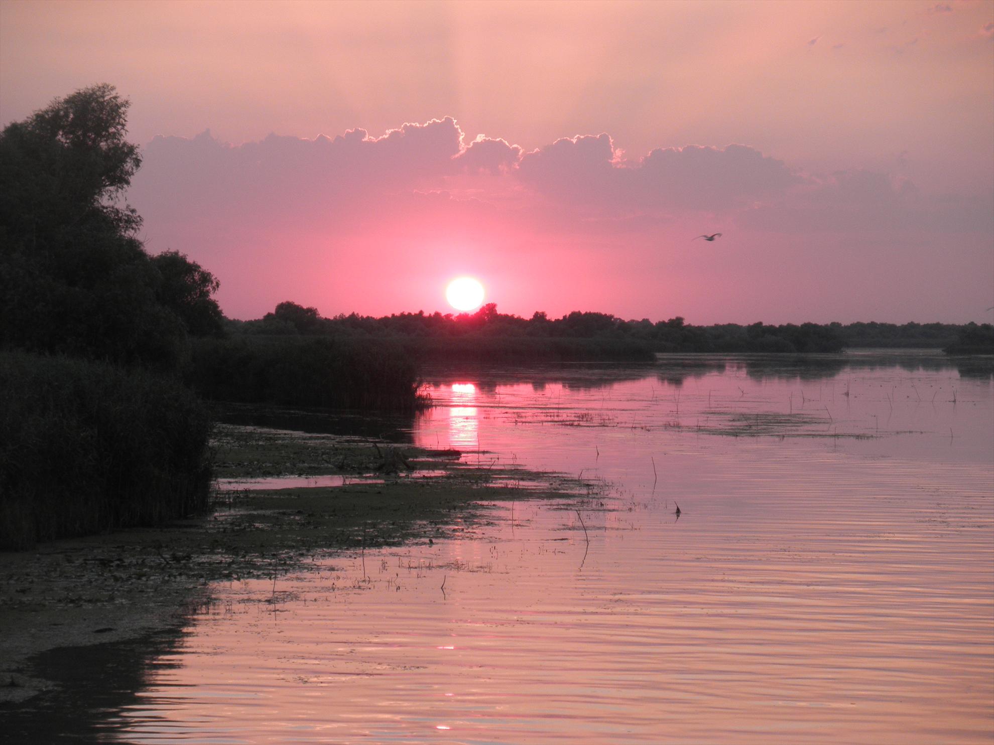 Delta - relaxare - p7280133.JPG